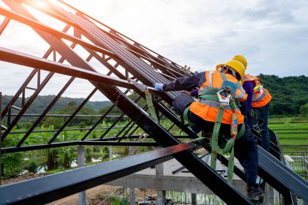 Best Roof Gutter Cleaning  in Murillo, TX