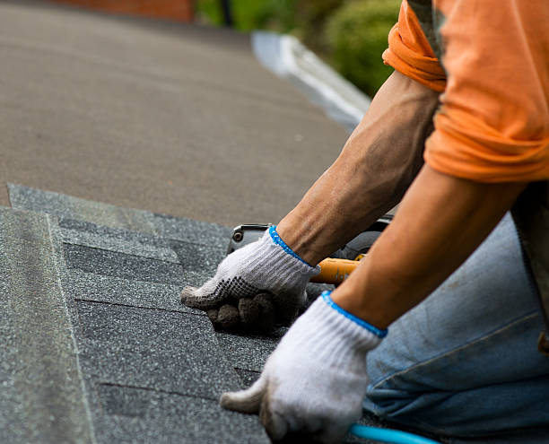 Best Gutter Installation and Roofing  in Murillo, TX